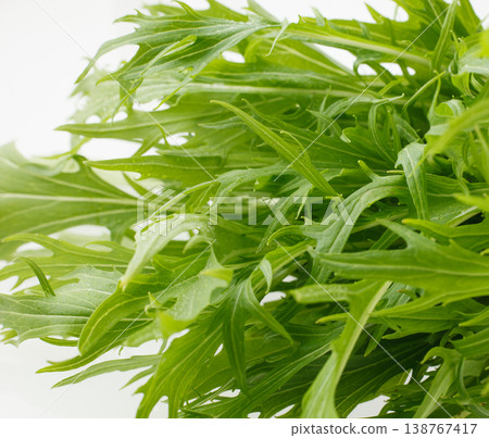 水菜(日本芥菜)- 攝影棚攝影 水菜(日本芥菜)- 攝影棚攝影 138767417