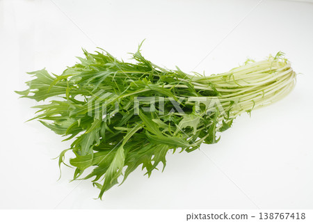 水菜(日本芥菜)- 攝影棚攝影 水菜(日本芥菜)- 攝影棚攝影 138767418