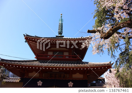 Spring at the Yakushi Reido Hall of Araiyama Baishoin Temple (1) Spring at the Yakushi Reido Hall of Araiyama Baishoin Temple (1) 138767461