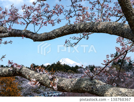 Sakura no Sato Sakura no Sato 138768367
