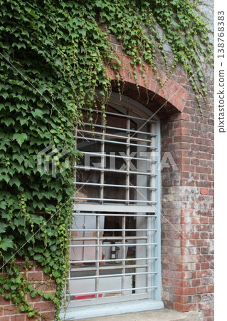 Brick wall and ivy Brick wall and ivy 138768383