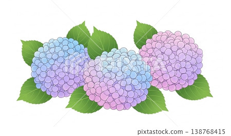 繡球花和雨季的矢量插圖背景 繡球花和雨季的矢量插圖背景 138768415