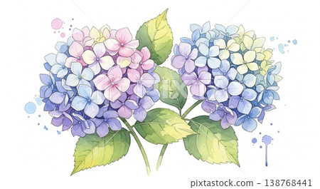 繡球花和雨季的矢量插圖背景 繡球花和雨季的矢量插圖背景 138768441