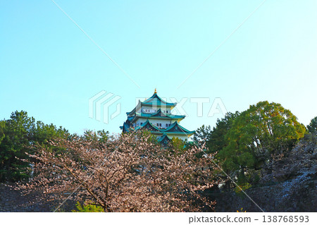 Scenery of cherry blossoms in full bloom and Nagoya Castle, Nagoya City, Aichi Prefecture 138768593