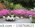 Azaleas blooming in a corner of the park 138768625