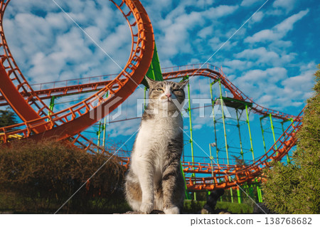 A tabby cat sits calmly with a giant orange roller coaster loop in the background 138768682