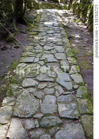 Cobbled street 138768725