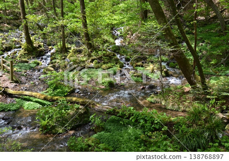  Minamizawa spring spring 138768897