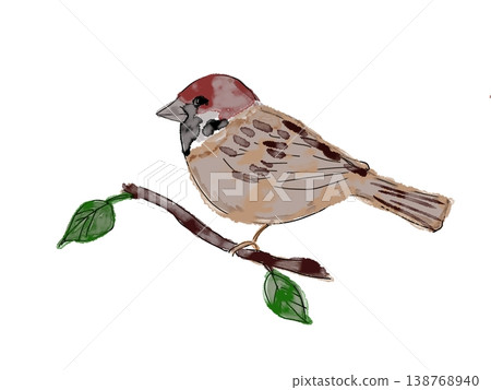 Sparrow that fits in branches 138768940