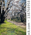 春日漫步，沿著櫻花盛開的公園小徑。 138768958