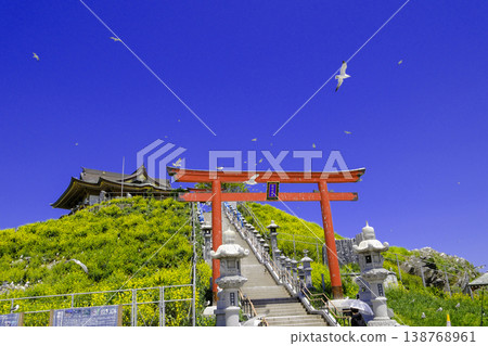 Black-tailed gulls flying in the blue sky and Kabushima Shrine Black-tailed gulls flying in the blue sky and Kabushima Shrine 138768961