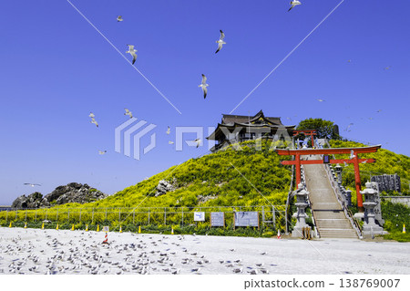 一群海鷗在藍天中翱翔 一群海鷗在藍天中翱翔 138769007