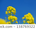 強姦開花發光在藍天 138769322