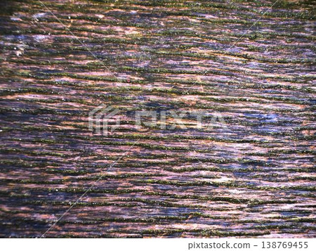 Linear Wood Grain With Rhythmic Layering For Branding Purposes Linear Wood Grain With Rhythmic Layering For Branding Purposes 138769455