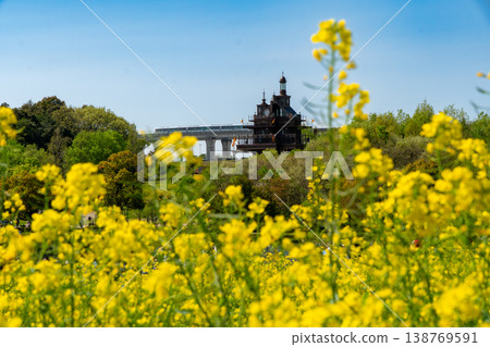 A spring scene at Ghibli Park: the Linimo train runs beyond a field of rapeseed flowers. A spring scene at Ghibli Park: the Linimo train runs beyond a field of rapeseed flowers. 138769591