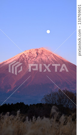 白雪皚皚，明月皎潔，富士山的美景盡收眼底。 138769601