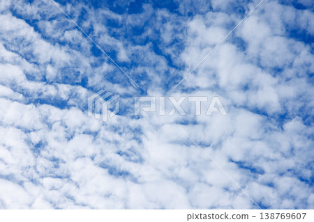 Sky 00355 Sky 00355 138769607