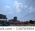 Cherry blossom viewing scenes at a park in Moriya City, Ibaraki Prefecture: Cherry blossoms in full bloom and a place of relaxation for citizens. 138769904