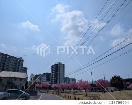 Cherry blossom viewing scenes at a park in Moriya City, Ibaraki Prefecture: Cherry blossoms in full bloom and a place of relaxation for citizens. Cherry blossom viewing scenes at a park in Moriya City, Ibaraki Prefecture: Cherry blossoms in full bloom and a place of relaxation for citizens. 138769904