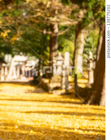 Autumn foliage at Tsukita Shrine in Nabari City, Mie Prefecture: An image of the approach to the shrine filled with fallen ginkgo leaves. Autumn foliage at Tsukita Shrine in Nabari City, Mie Prefecture: An image of the approach to the shrine filled with fallen ginkgo leaves. 138770202