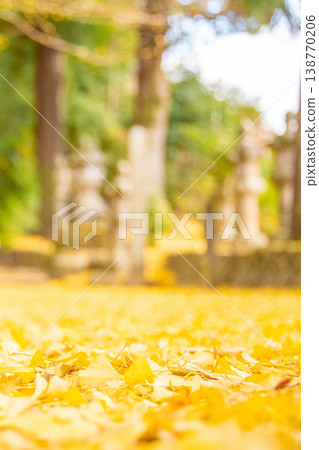 三重縣名張市月田神社的秋葉:通往神社的小路上鋪滿了落下的銀杏葉。 三重縣名張市月田神社的秋葉:通往神社的小路上鋪滿了落下的銀杏葉。 138770206