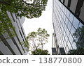 The building I looked up at and the fresh greenery 138770800