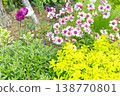 Purple and pink flowers 138770801