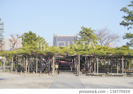 景陽之松（江戶川區） 138770939