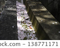 Cherry blossom ditch 138771171