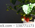 Strawberries turning red 138771173