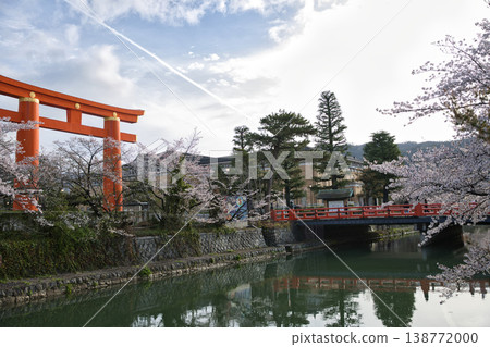 Kyoto in Spring: Okazaki Canal, Cherry Blossoms in Full Bloom, and the Great Torii Gate 1 138772000