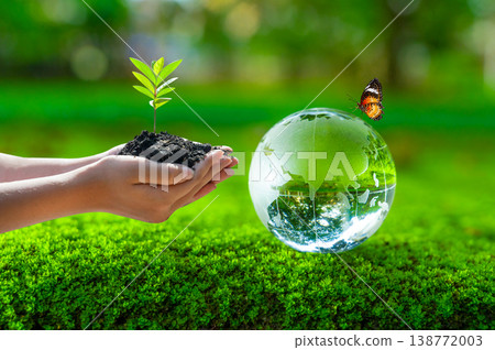 The globe is made of glass and sits on green moss. A hand is seen holding a small tree sapling. The concept is related to Earth Day, World Environment Day, and environmental conservation. The globe is made of glass and sits on green moss. A hand is seen holding a small tree sapling. The concept is related to Earth Day, World Environment Day, and environmental conservation. 138772003