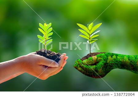 A hand holding a tree sapling amidst nature against a green bokeh background. Concept for Earth Day, World Environment Day and environmental conservation. A hand holding a tree sapling amidst nature against a green bokeh background. Concept for Earth Day, World Environment Day and environmental conservation. 138772004