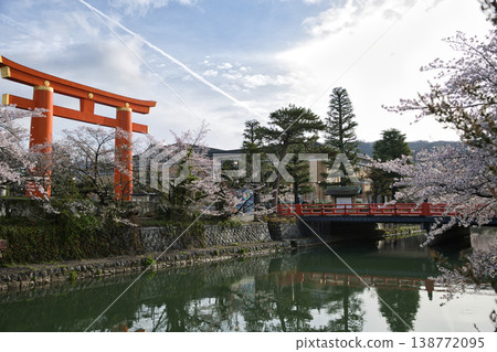 春日京都：岡崎運河、盛開的櫻花和大鳥居（9） 138772095