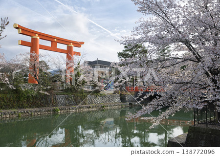 Spring in Kyoto: Okazaki Canal, cherry blossoms in full bloom, and the large torii gate (8) Spring in Kyoto: Okazaki Canal, cherry blossoms in full bloom, and the large torii gate (8) 138772096