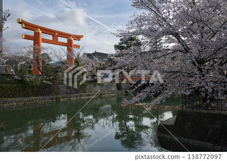 Kyoto in Spring: Okazaki Canal, Cherry Blossoms in Full Bloom, and the Great Torii Gate (Part 7) Kyoto in Spring: Okazaki Canal, Cherry Blossoms in Full Bloom, and the Great Torii Gate (Part 7) 138772097