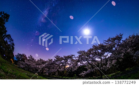 A scene of cherry blossoms in full bloom under a starry sky with the fantastical Milky Way stretching out before you. A scene of cherry blossoms in full bloom under a starry sky with the fantastical Milky Way stretching out before you. 138772249