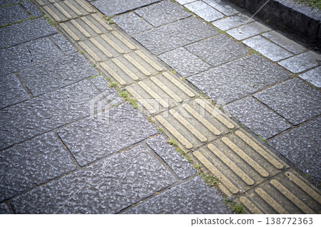 Braille blocks in a park (tile image) Braille blocks in a park (tile image) 138772363
