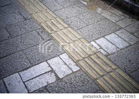Braille blocks in a park (tile image) Braille blocks in a park (tile image) 138772365