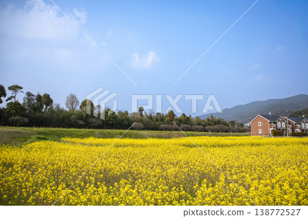 福岡縣太宰府市水木城遺址及油菜田 福岡縣太宰府市水木城遺址及油菜田 138772527