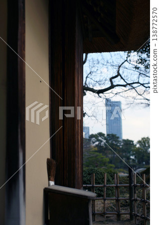 Japanese garden and skyscraper 138772570
