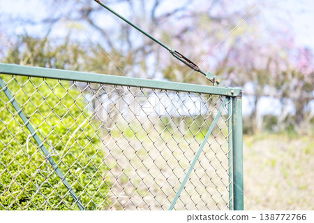 Park fence, spring, cherry blossoms, April image Park fence, spring, cherry blossoms, April image 138772766