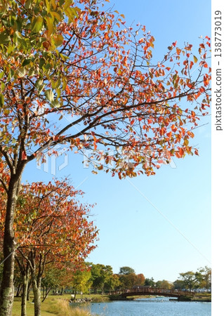 Autumn foliage trees and a wooden bridge by the water's edge Autumn foliage trees and a wooden bridge by the water's edge 138773019