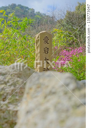 有馬溫泉的春天 有馬溫泉的春天 138773047