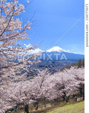 富士山與櫻花 ② 138773071