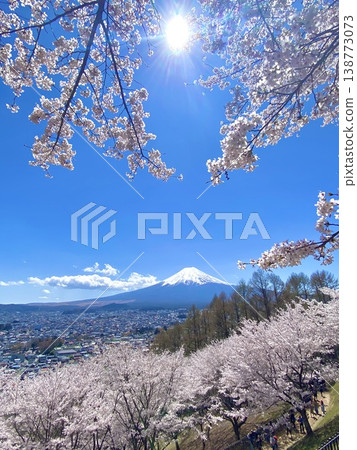 富士山與櫻花④ 138773073