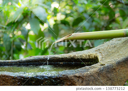 Green bamboo and a water basin (tsukubai) Green bamboo and a water basin (tsukubai) 138773212
