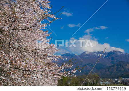 Katsuyama Benten Cherry Blossoms and the Kuzuryu Riverside in Spring Katsuyama Benten Cherry Blossoms and the Kuzuryu Riverside in Spring 138773619