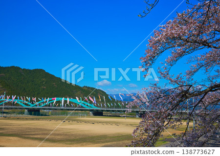 Katsuyama Benten Cherry Blossoms and the Kuzuryu Riverside in Spring Katsuyama Benten Cherry Blossoms and the Kuzuryu Riverside in Spring 138773627