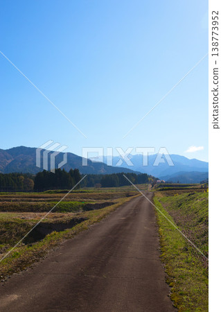 Rapeseed blossoms and Katsuyama Castle Museum Rapeseed blossoms and Katsuyama Castle Museum 138773952